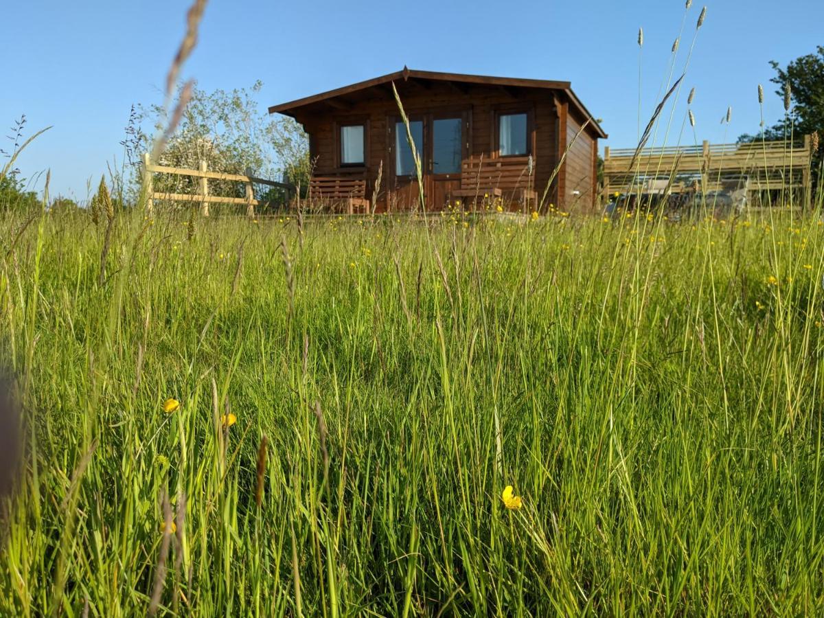Foxhill Lodges Кентърбъри Екстериор снимка